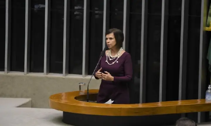 Com recurso de Dorinha, Casa da Mulher Brasileira será construída