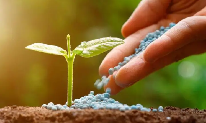 Comissão presidida por Kátia no Senado debate dependência brasileira de fertilizantes do exterior