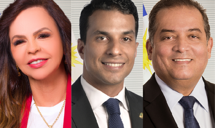 Dorinha e Irajá são os senadores do Tocantins mais alinhados ao governo Lula; Gomes é o menos