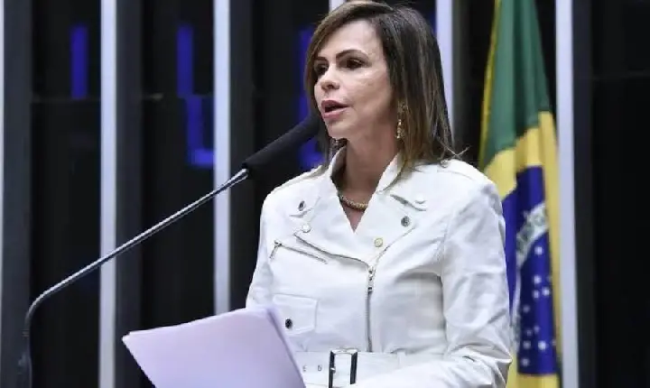 Dorinha inova e indica emenda prioritária para Assistência Social; Montante será para geração de emprego, renda e cuidado com crianças e id