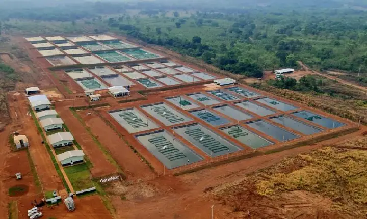 Empresa investe R$ 28 milhões em Centro de Melhoramento Genético de Tilápia no Tocantins