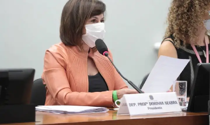 “Exigimos o cumprimento da lei”, afirma deputada Professora Dorinha sobre a garantia do reajuste do piso do magistério