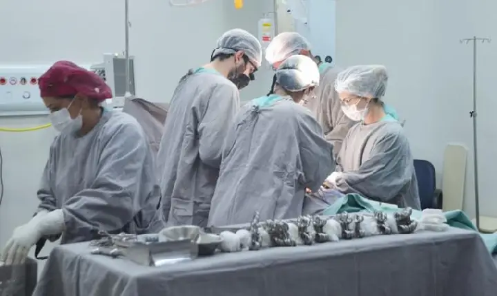 Jovem de 25 anos tem rins, fígado, coração e córneas doados pela família após morte encefálica