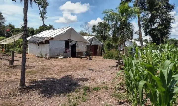 Justiça manda despejar mais de 50 famílias de fazenda alvo de conflitos agrários desde 1997