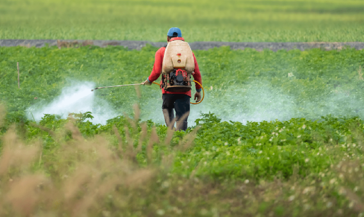 MPE pede bloqueio de R$ 250 mil de empresa agrícola de Lagoa da Confusão por utilizar agrotóxicos ilegais em lavoura