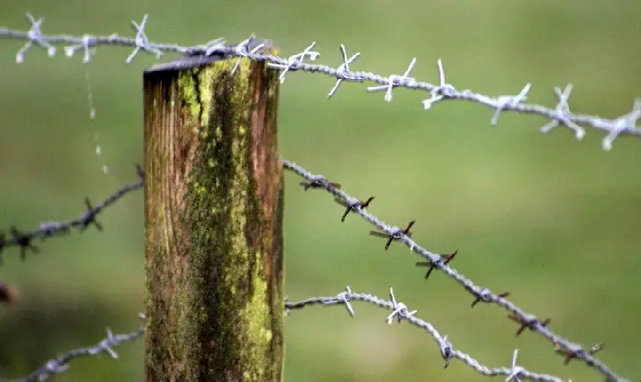 MST e Pastoral da Terra denunciam agressão e ameaça contra liderança camponesa de Barra do Ouro