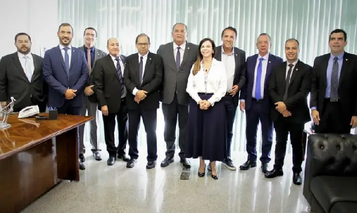 Pela segunda vez, Dorinha assume coordenação da bancada federal no Congresso