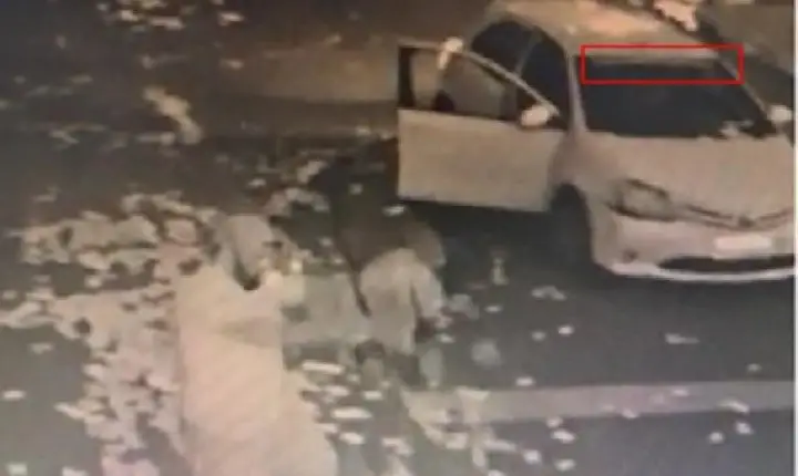 PF investiga candidata por prática de crime eleitoral e ambiental em Araguaína