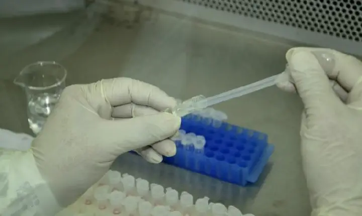 Primeiro caso da variante Ômicron é confirmado no Tocantins em paciente de Gurupi