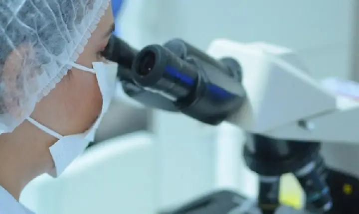 Saiba o que o exame de creatinina pode falar sobre a saúde dos rins