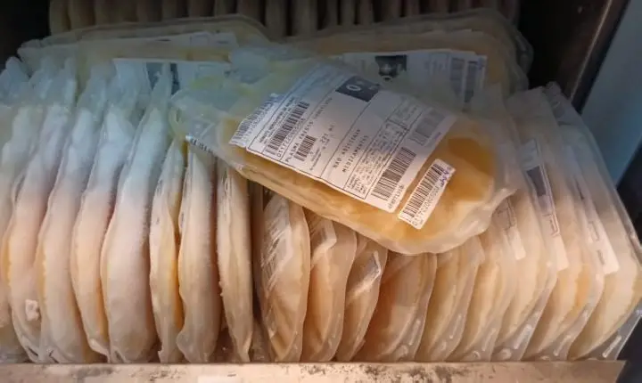 SAÚDE PÚBLICA Hemocentro do Tocantins vai fornecer plasma para produção de medicamentos biotecnológicos