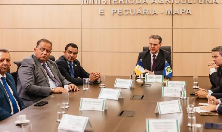 TO busca no Ministério da Agricultura alternativas de novos mercados de exportação