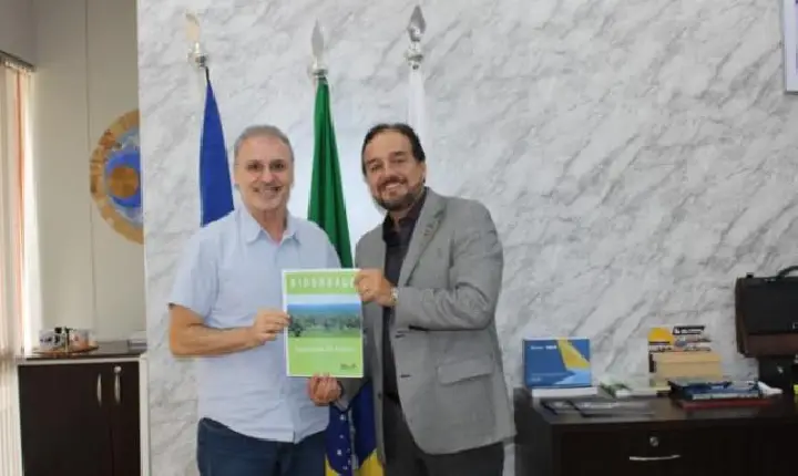 Tobasa Bioindustrial planeja gerar energia elétrica durante o processamento do coco babaçu