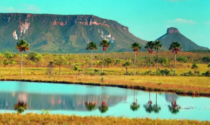 Tocantins participa de encontro da ONU para o desenvolvimento sustentável da Amazônia Legal