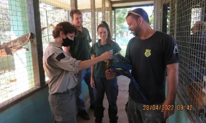 Tocantins passa a contar com Banco de Amostras Biológicas da fauna do Cerrado