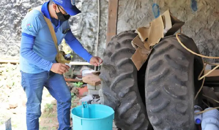 Tocantins registra explosão de casos de dengue, o maior aumento em todo o Brasil
