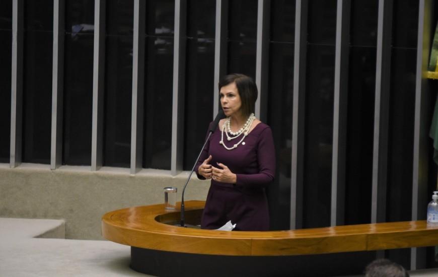 Com recurso de Dorinha, Casa da Mulher Brasileira será construída