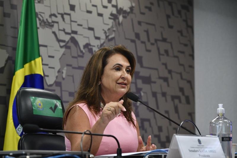 Pela Comissão de Relações Exteriores, Kátia Abreu diz que invasão da Ucrânia “viola direito internacional”