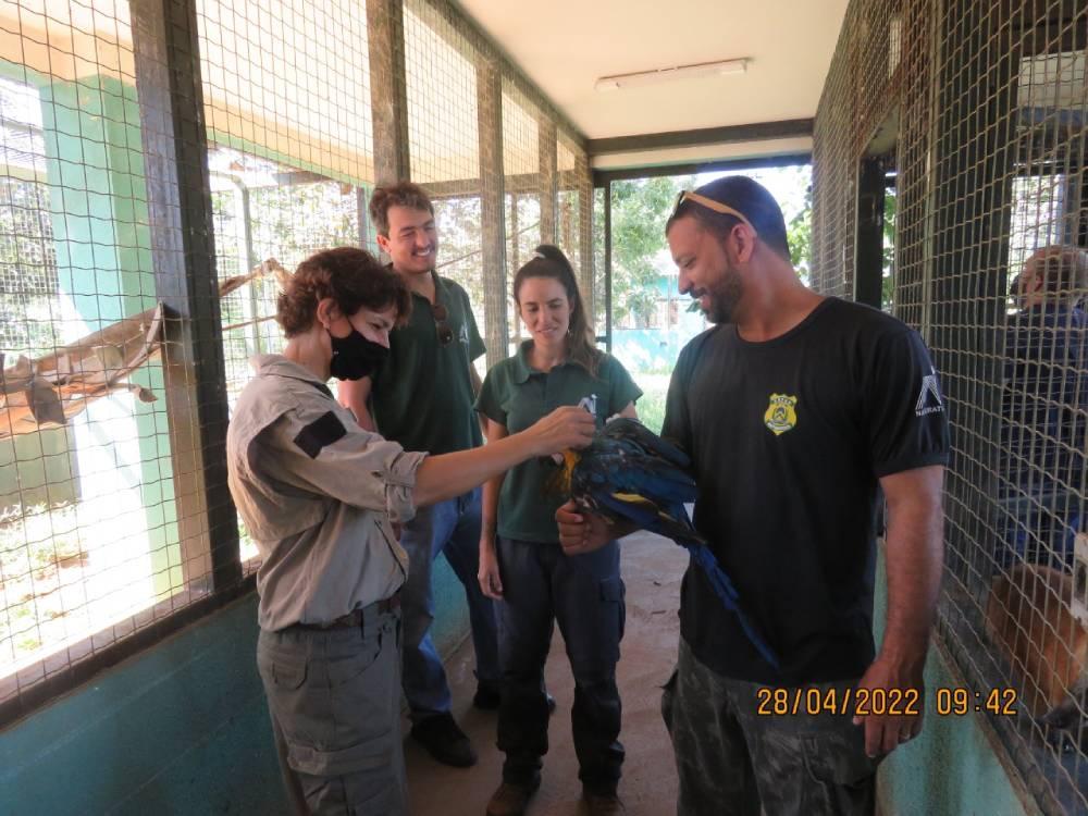 Tocantins passa a contar com Banco de Amostras Biológicas da fauna do Cerrado