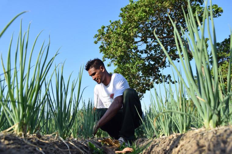 Jovens podem ter financiamento para projetos de agricultura familiar
