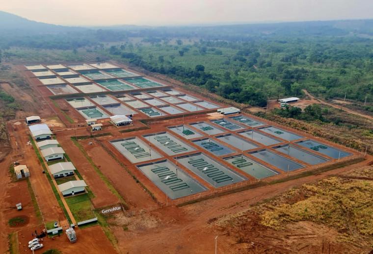 Empresa investe R$ 28 milhões em Centro de Melhoramento Genético de Tilápia no Tocantins