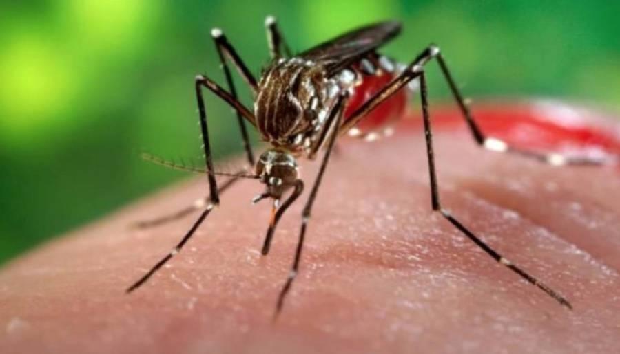 Saúde alerta para período de chuvas e o aumento de doenças relacionadas ao Aedes aegypti