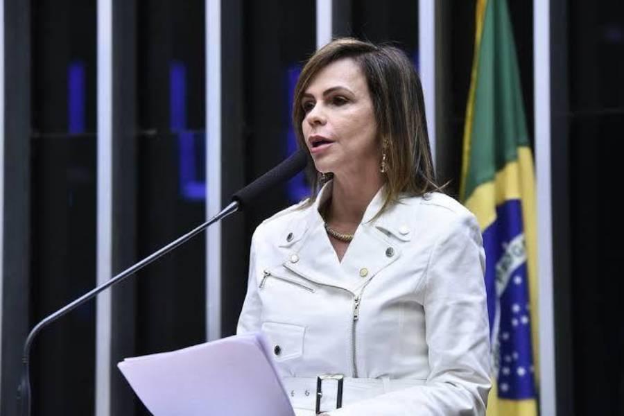 Dorinha inova e indica emenda prioritária para Assistência Social; Montante será para geração de emprego, renda e cuidado com crianças e id