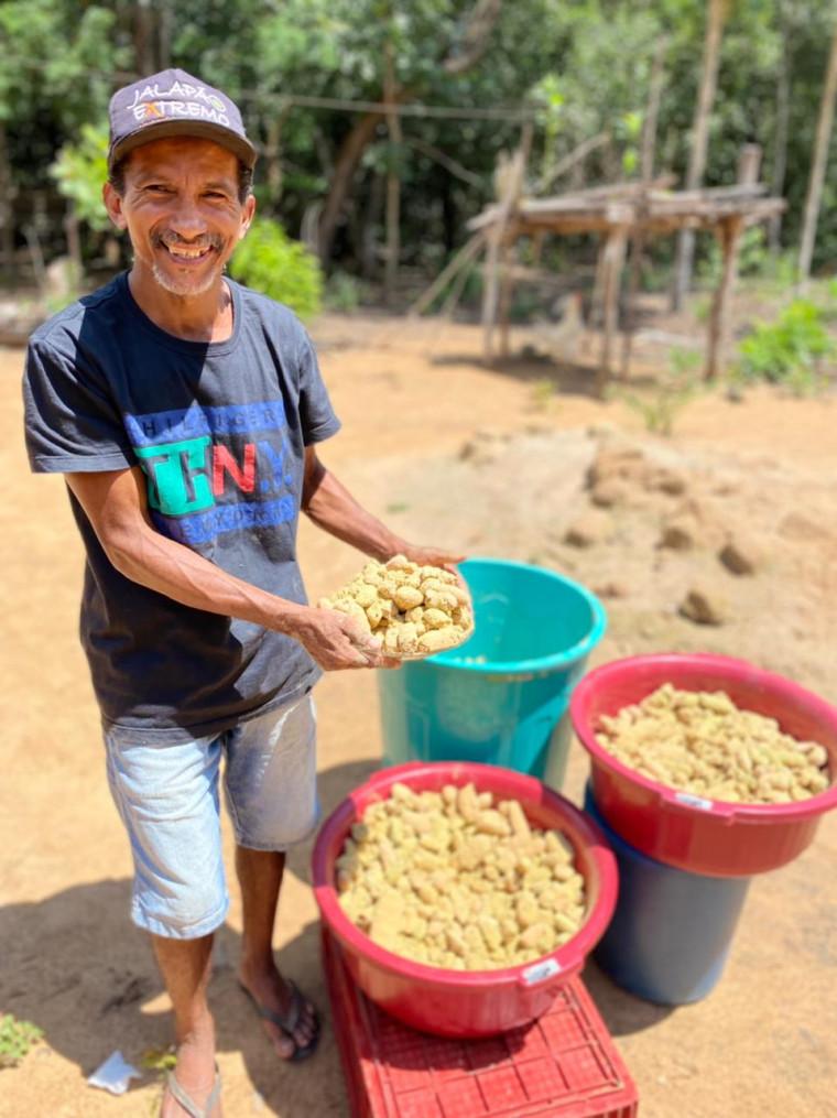 Jatobá vira farinha rica em potássio, cálcio, sem glúten e gera renda para famílias no Jalapão