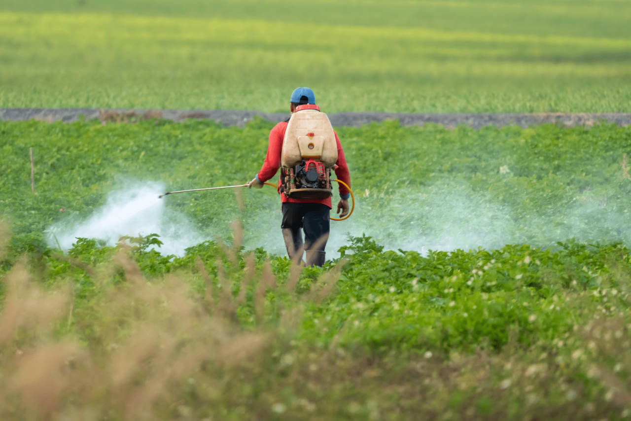 MPE pede bloqueio de R$ 250 mil de empresa agrícola de Lagoa da Confusão por utilizar agrotóxicos ilegais em lavoura