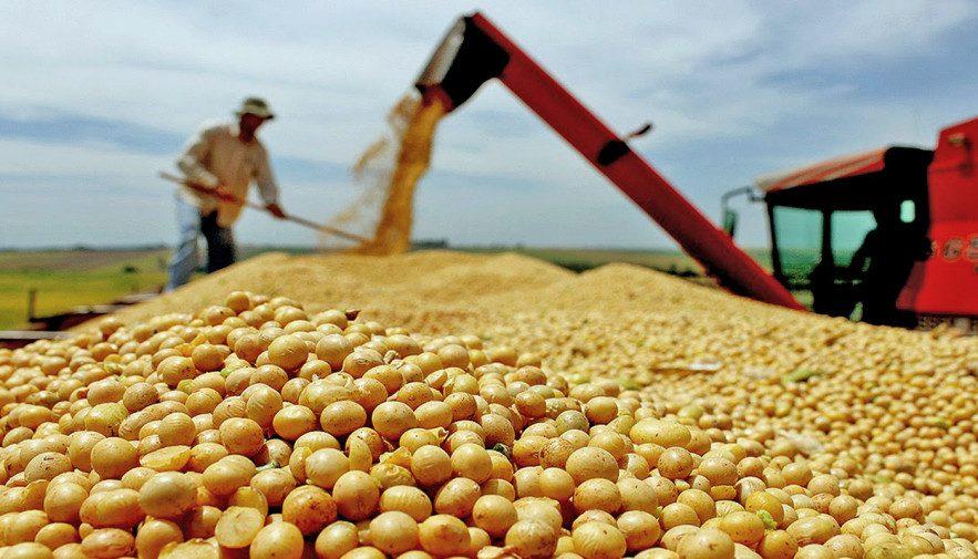 Produção de soja no Tocantins atinge 70% da área plantada e Seagro projeta colheita recorde