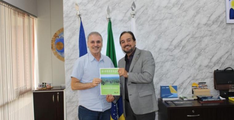 Tobasa Bioindustrial planeja gerar energia elétrica durante o processamento do coco babaçu
