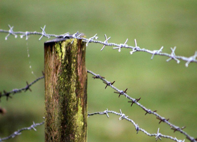 MST e Pastoral da Terra denunciam agressão e ameaça contra liderança camponesa de Barra do Ouro