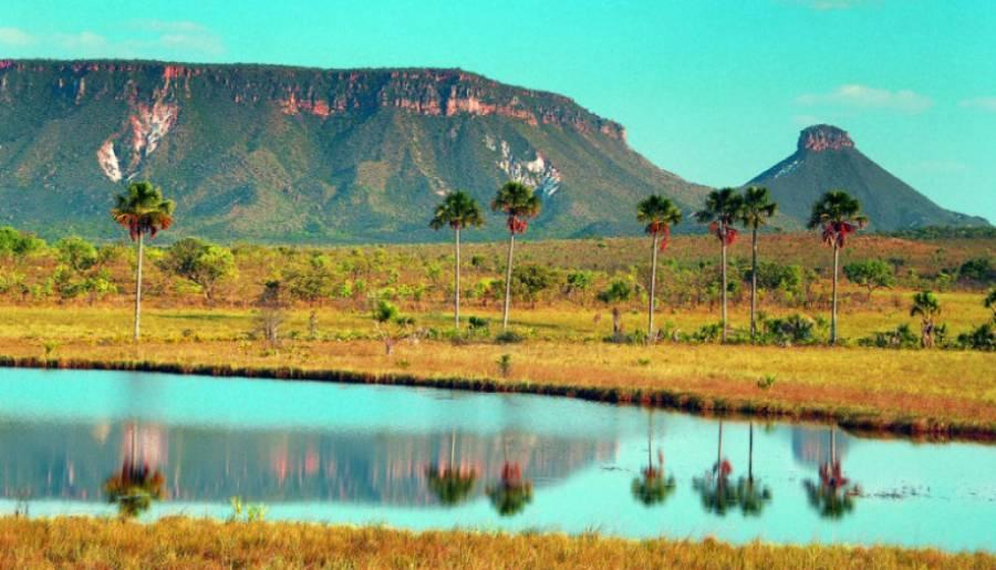 Tocantins participa de encontro da ONU para o desenvolvimento sustentável da Amazônia Legal