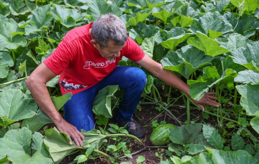 Palmas ganha Central de Abastecimento da Agricultura Familiar na Feira da 304 Sul